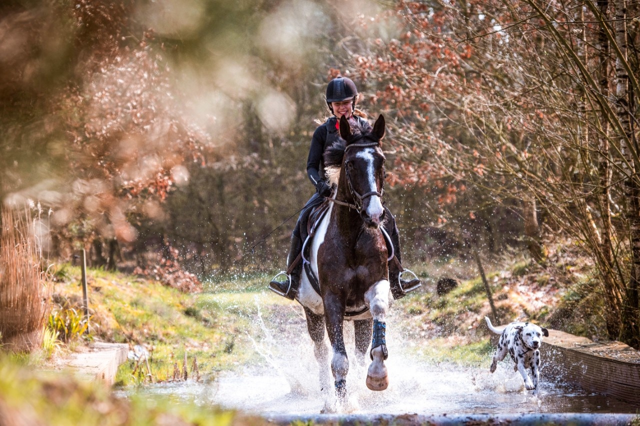 Zehn Gründe für das Reiten im Gelände