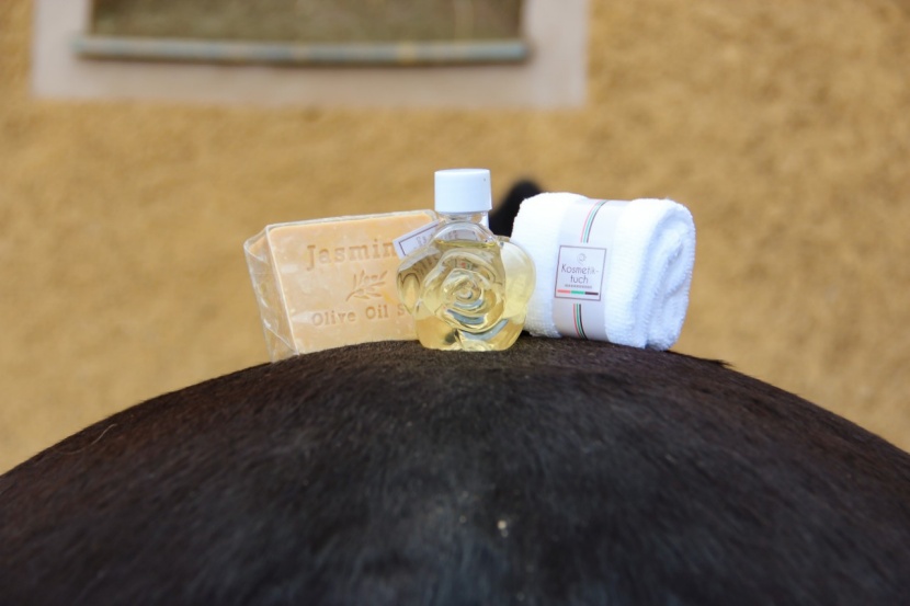 phonix aus dem misthaufen