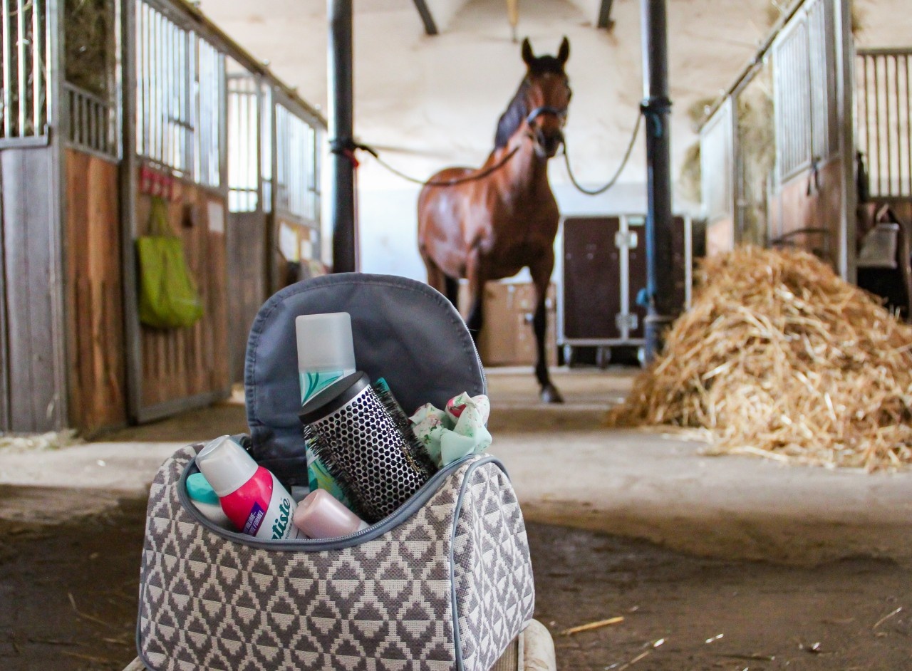 phonix aus dem misthaufen