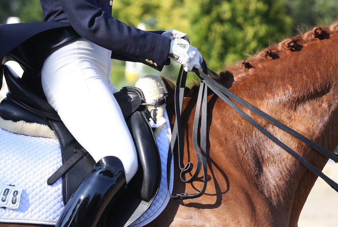 Wie Pauschen Pferd und Reiterin beeinflussen