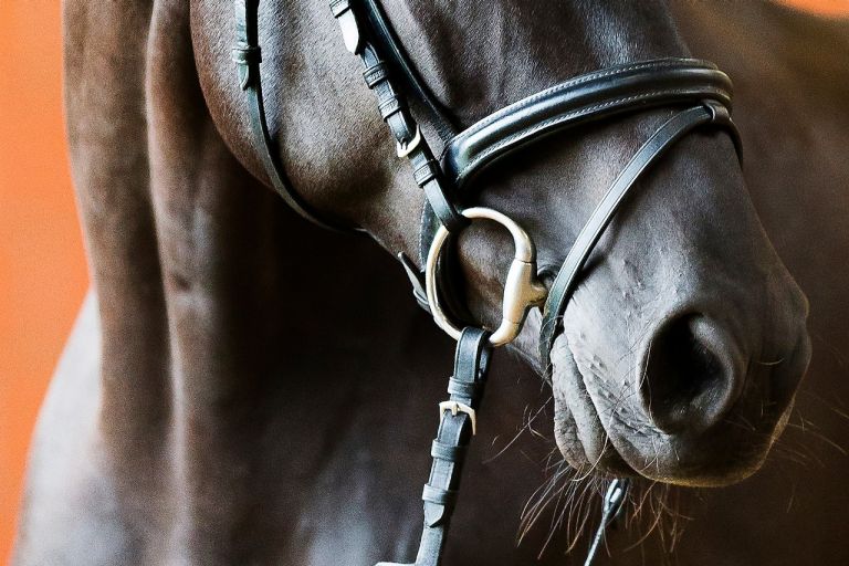Käufer muss 400.000 Euro zahlen: Formaler Fehler entscheidet