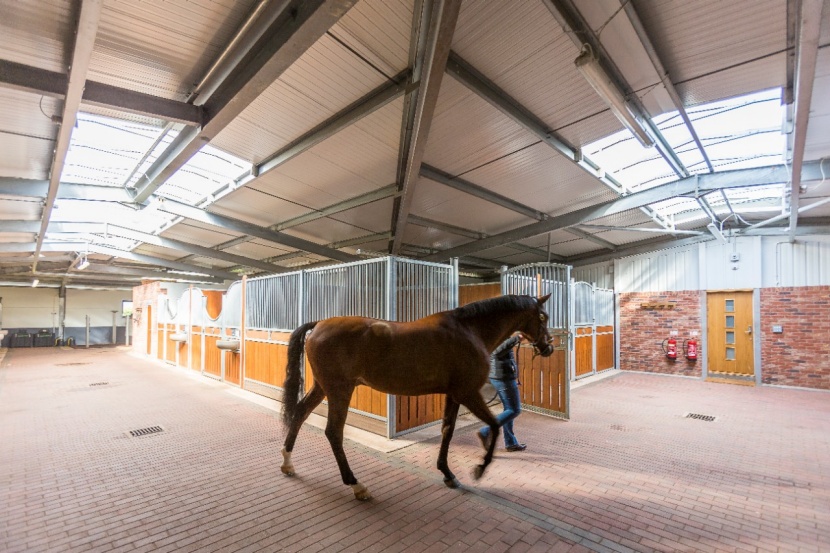 Stallsperren Auszugsverbote Was Rund Ums Pferd Erlaubt Ist Und Was Nicht In Zeiten Der Corona Krise