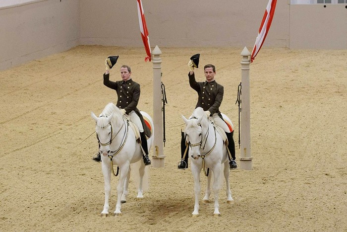 Klassische Reitkunst und Hohe Schule an der Spanischen zum