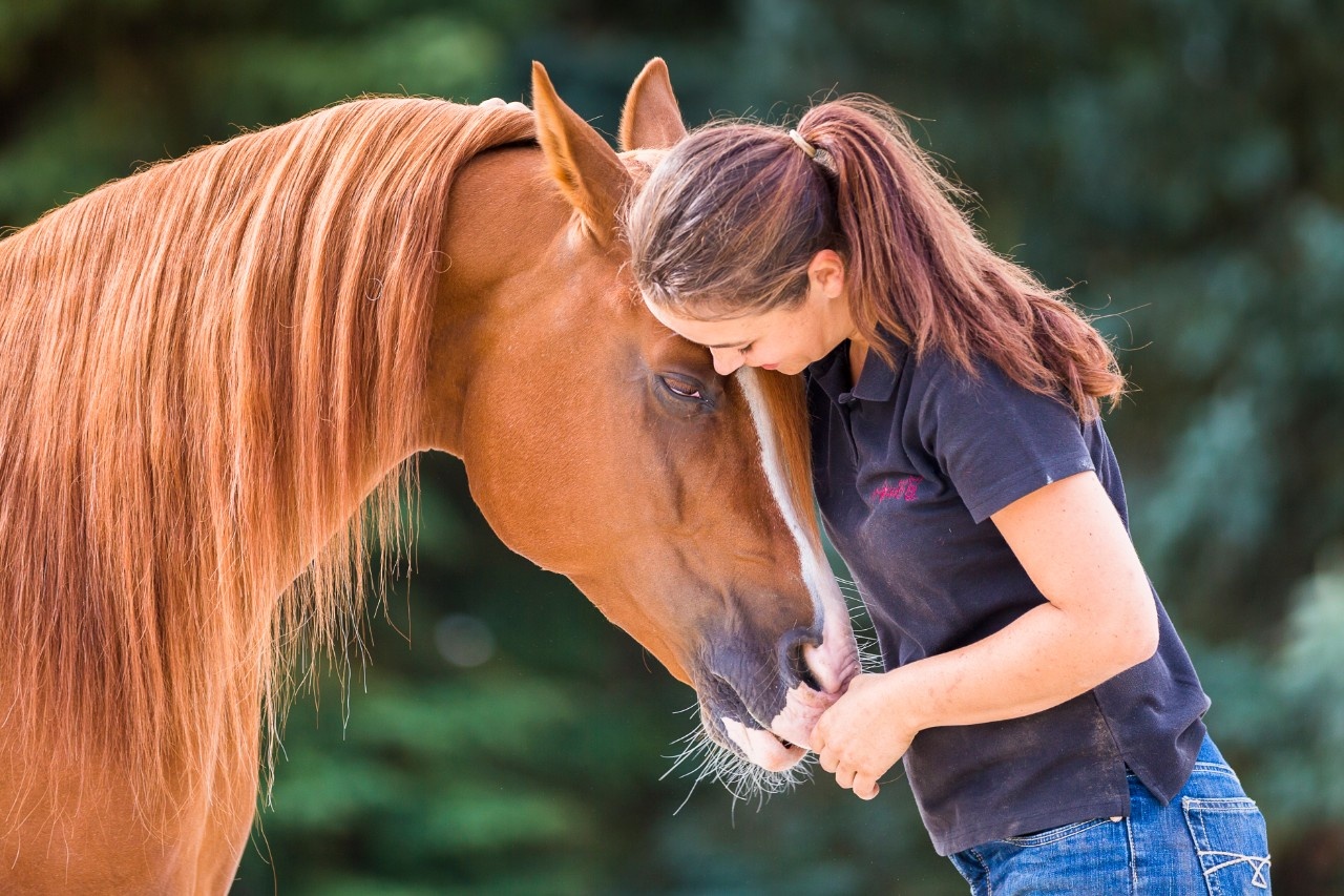 Studie: Pferd und Mensch können Herzschlag einander anpassen