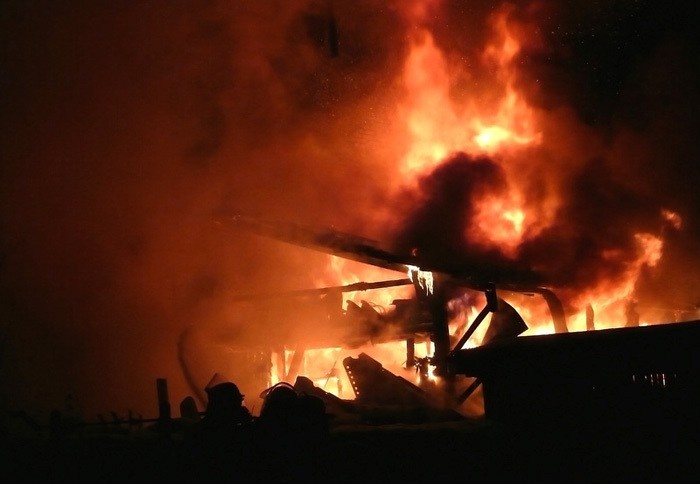 Zehn Pferde sterben bei verheerendem Stallbrand in Breitenfurt