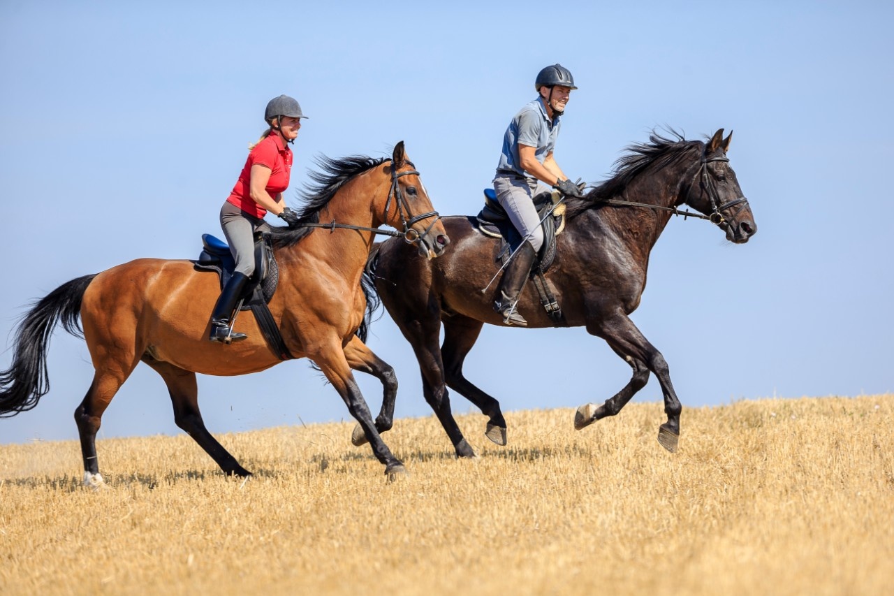 Studie Ältere Menschen die reiten, sind glücklicher, fitter und