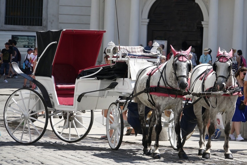 Neues Hilfspaket Fur Fiaker In Wien