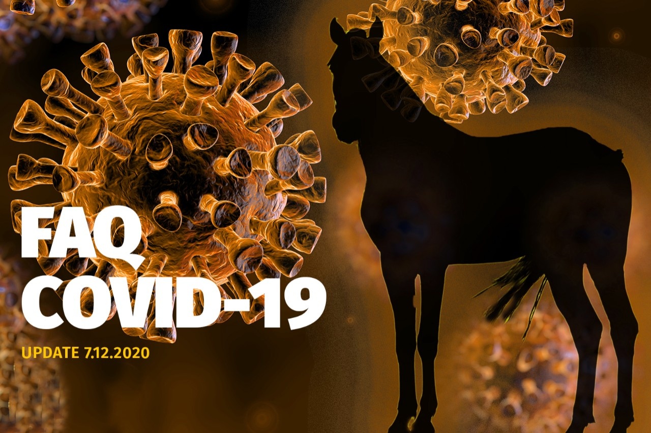 Neuer Lockdown light: Die Bestimmungen ab 7. Dezember