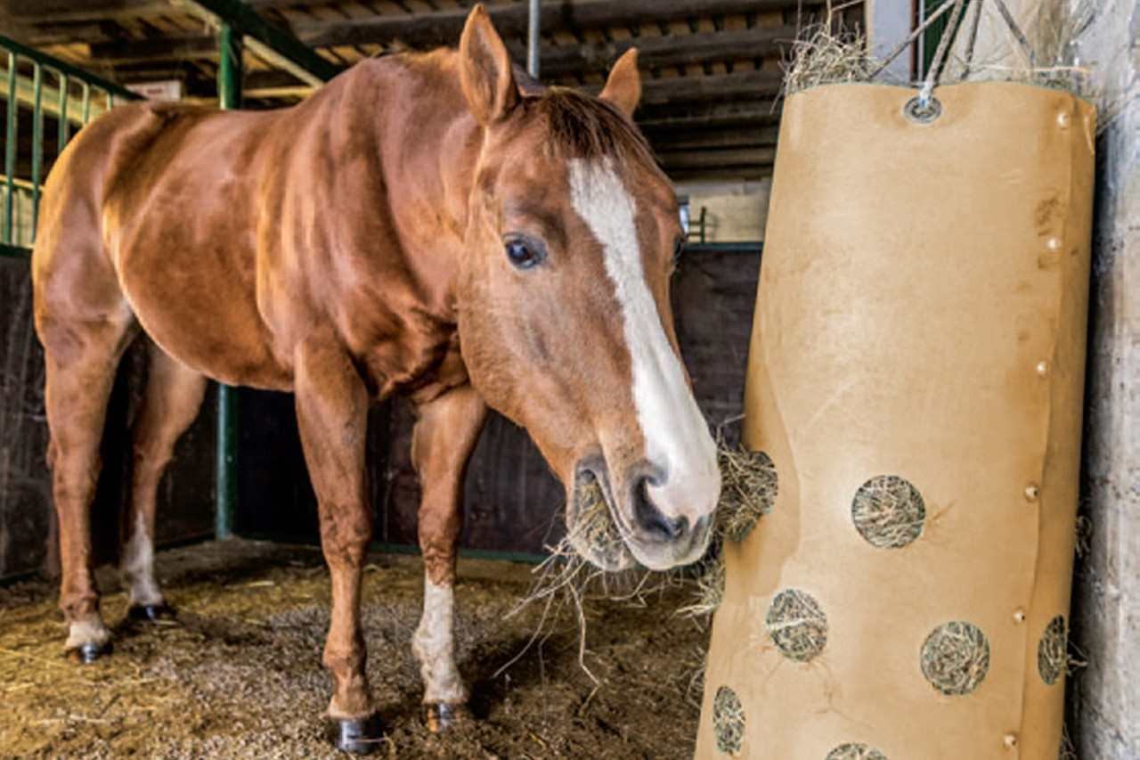 Getreidesaugmaschine 3M - Förderschnecke Für Landwirtschaft