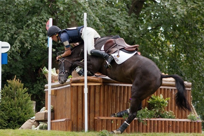 Pferd und Reiter beim Reitturnier