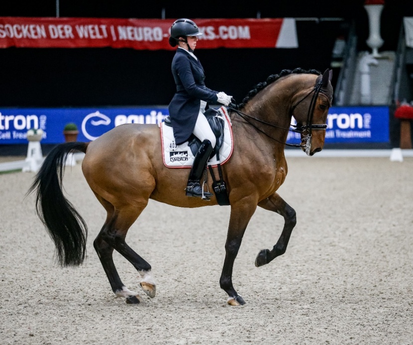 Oeps Veroffentlicht Osterreichischen Dressur Olympiakader 2021
