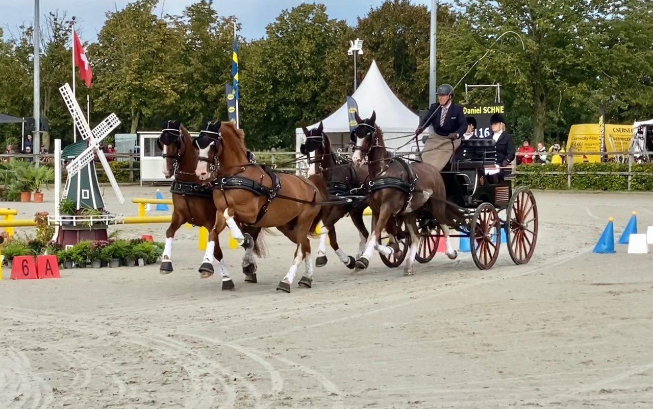 Daniel Schneider staat zevende op het EK en twee keer goud voor Nederland