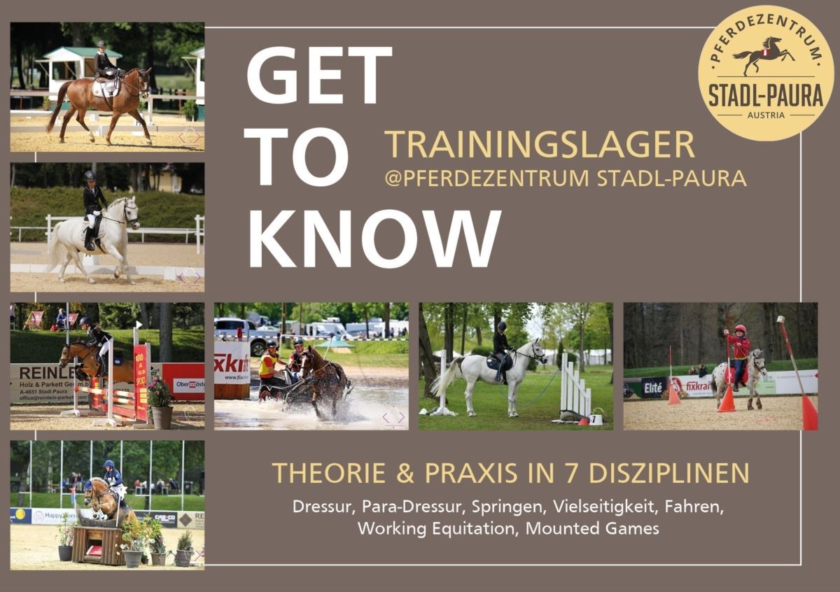 Get to know in Stadl-Paura: Reitsport in sieben Disziplinen erleben und ...