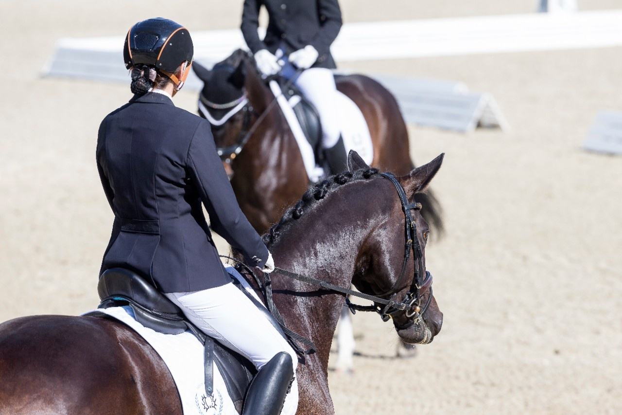 L’Italia equipara legalmente i cavalli sportivi agli atleti umani