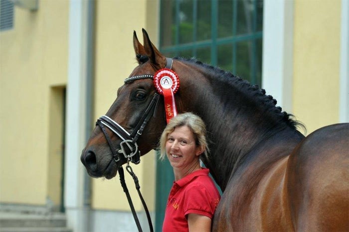 Lord Perry W für Österreich gekört
