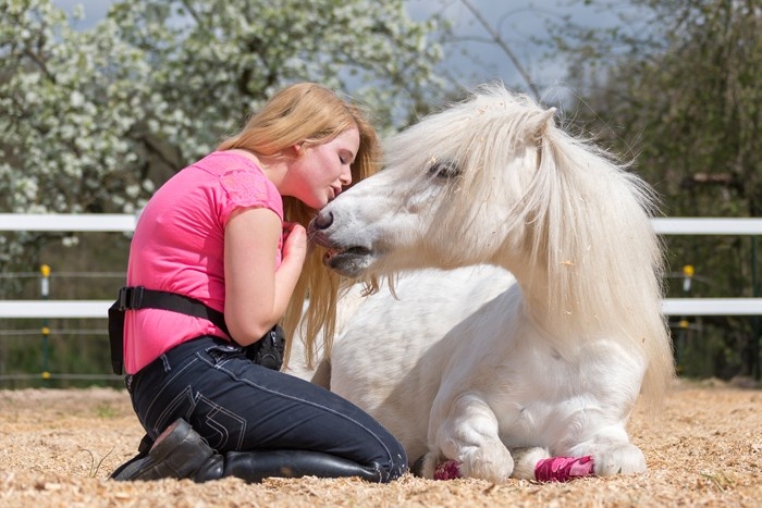 Ponys Sinnvoll Beschaftigen