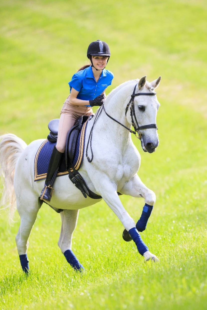 Pferd Pumpt Nach Reiten