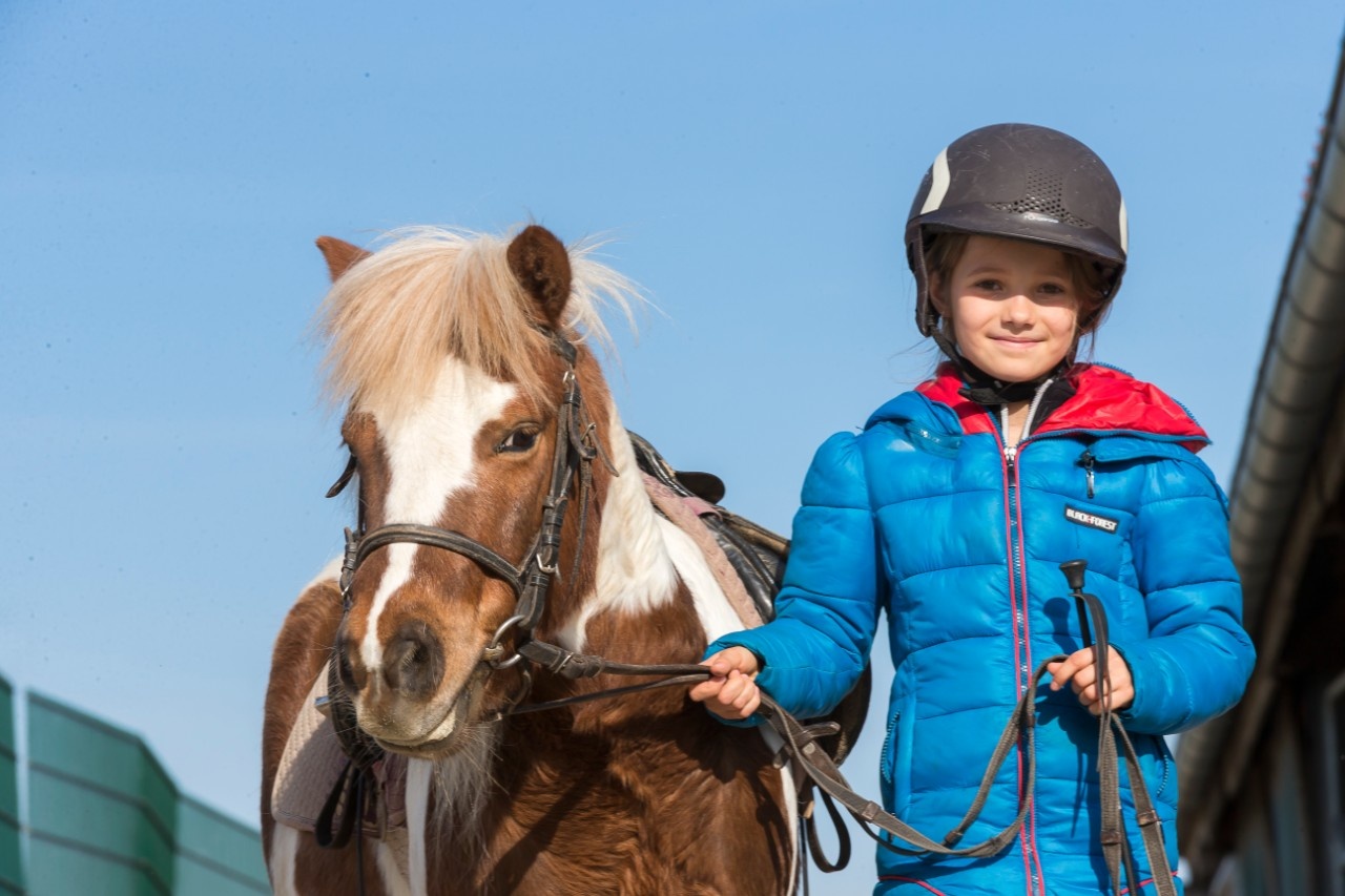 Aller Anfang ist die Reitschule