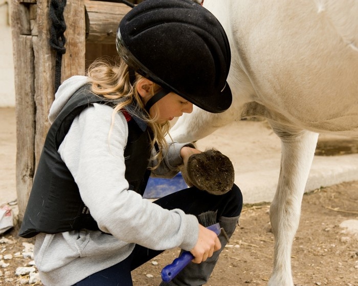 Studie Empfiehlt Kinder Sollten In Der Nahe Von Pferden Immer Einen Helm Tragen