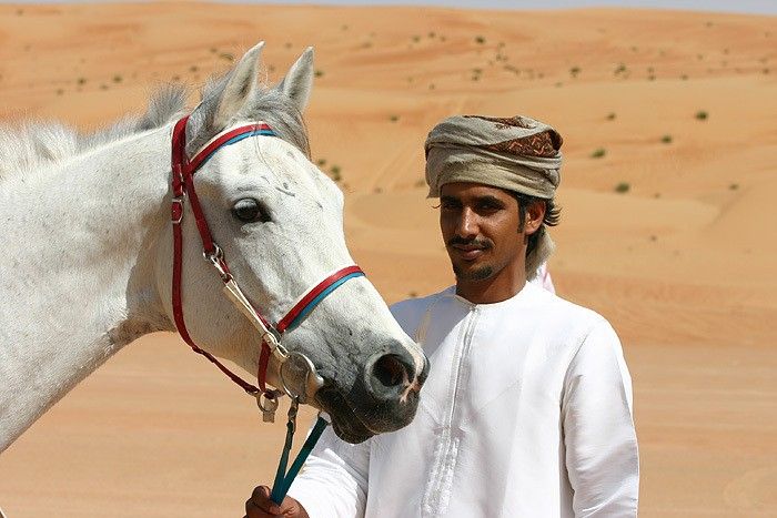 Auf edlen Arabern durch die Wahiba-Wüste