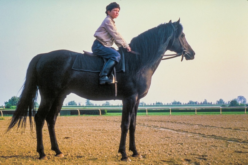 Er Lässt Sich Von Seiner Besten Freundin Reiten Er Lässt Sich Von Seiner Besten Freundin Reiten
