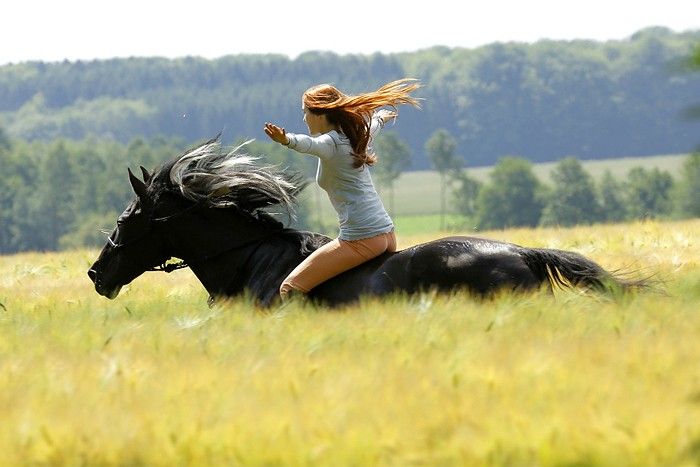 10 besten pferdefilme