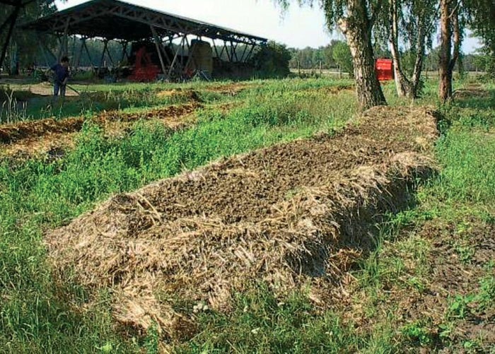 nematoden mit dnger mischen TerraDomi SC Nematoden gegen Maulwurfsgrillen, Erdraupen und Wiesensch   TerraDomi Onlineshop